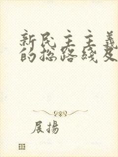 新民主主义革命的总路线及其主要内容