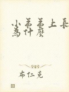 小弟弟上长水泡为什么