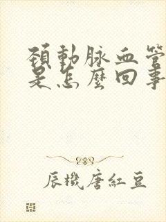 颈动脉血管斑块是怎么回事