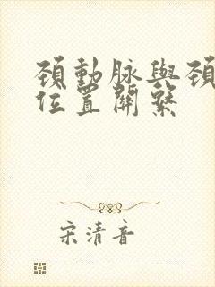 颈动脉与颈静脉位置关系