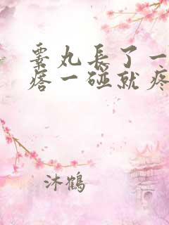 睾丸长了一个疙瘩一碰就疼