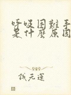 呼吸困难手发麻是什么原因