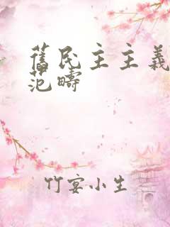 旧民主主义革命范畴