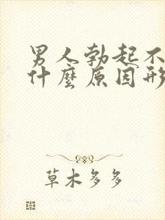 男人勃起不坚是什么原因形成的