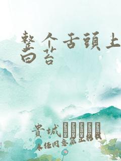 整个舌头上都是白苔