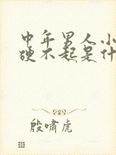 中年男人小弟弟硬不起是什么原因