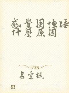 感觉困但睡不着什么原因