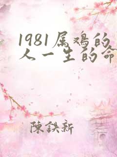 1981属鸡的人一生的命运是怎么样的