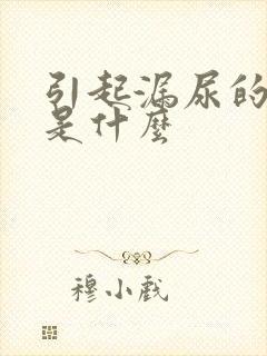 引起漏尿的原因是什么