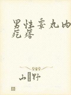 男性睾丸内有硬疙瘩