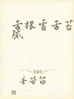 舌根处舌苔黄厚腻