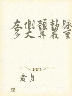 左侧颈动脉斑块多大算严重