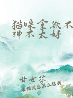 猫咪食欲不振精神不太好