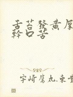 舌苔发黄厚腻口干口苦