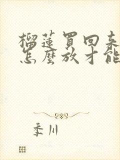 榴莲买回来硬的怎么放才能熟