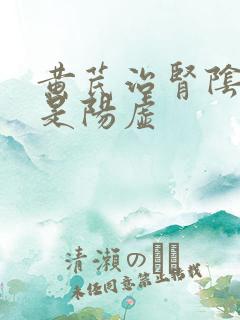 黄芪治肾阴虚还是阳虚