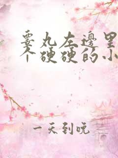 睾丸左边里面有个硬硬的小疙瘩疼