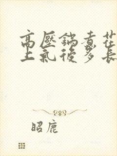 高压锅煮花生米上气后多长时间