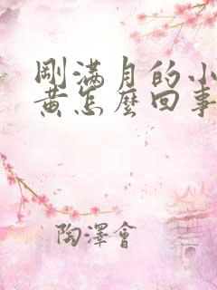 刚满月的小狗尿黄怎么回事