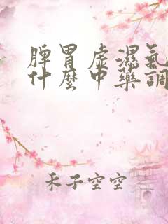 脾胃虚湿气重吃什么中药调理