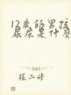 12岁的男孩还尿床是什么原因