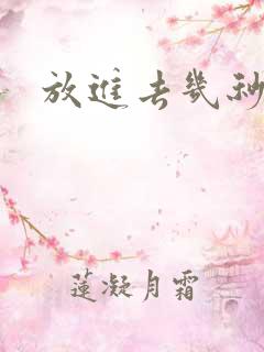 放进去几秒就射