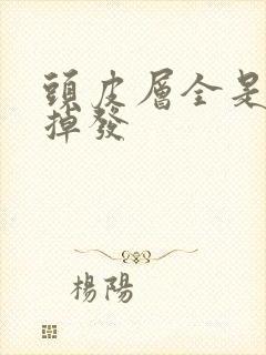 头皮层全是油又掉发