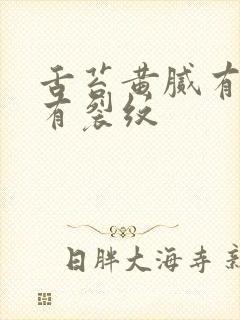 舌苔黄腻有齿痕有裂纹