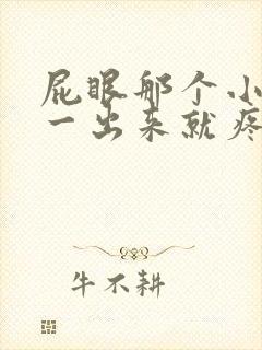 屁眼那个小肉球一出来就疼