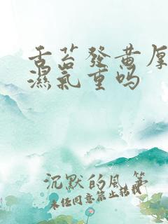 舌苔发黄厚腻是湿气重吗