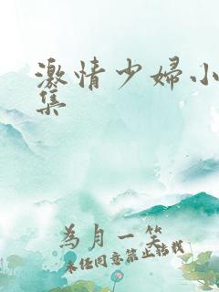 激情少妇小说合集