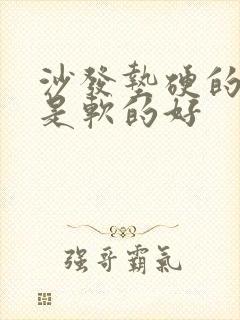 沙发垫硬的好还是软的好