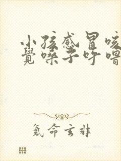 小孩感冒咳嗽睡觉嗓子呼噜呼噜的