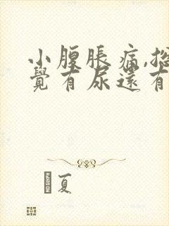 小腹胀痛,总感觉有尿还有血