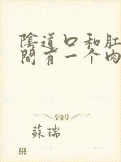 阴道口和肛门之间有一个肉疙瘩