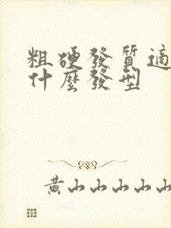 粗硬发质适合烫什么发型