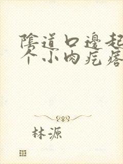 阴道口边起了一个小肉疙瘩