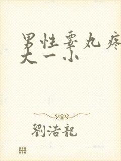 男性睾丸疼痛一大一小