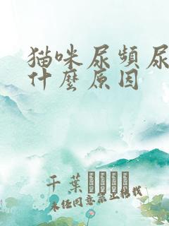 猫咪尿频尿少是什么原因