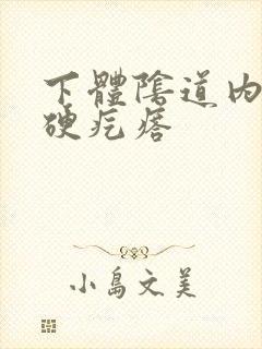 下体阴道内有个硬疙瘩