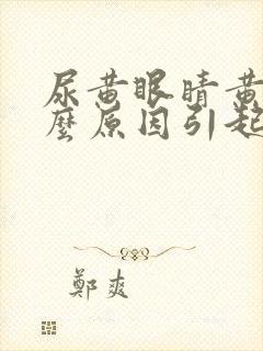 尿黄眼睛黄是什么原因引起的