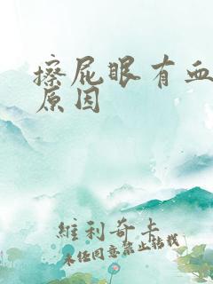 擦屁眼有血什么原因