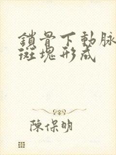 锁骨下动脉起始斑块形成