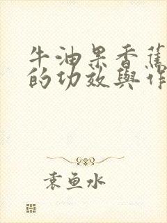 牛油果香蕉奶昔的功效与作用