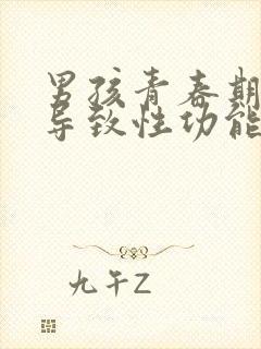 男孩青春期胖会导致性功能低下吗