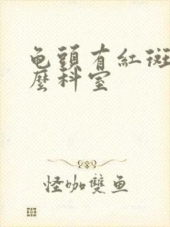 龟头有红斑挂什么科室