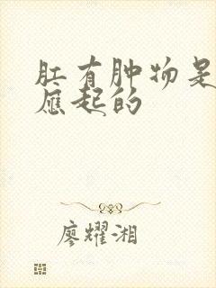 肛有肿物是什么应起的