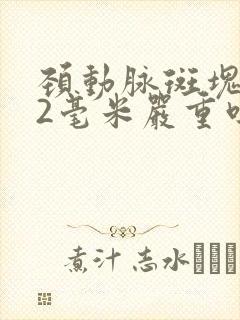 颈动脉斑块3.2毫米严重吗