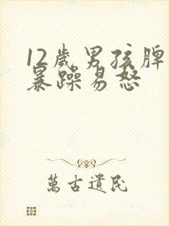 12岁男孩脾气暴躁易怒