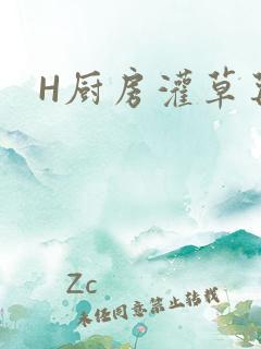 H厨房灌草莓